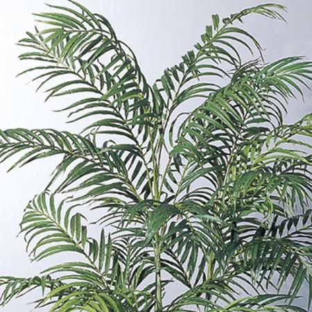 直送 人工観葉植物 アスカ アレカパーム Ｓ 　 ポット付 　グリ−ン A-56009-051A※返品代引不可_1