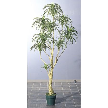 直送 人工観葉植物 アスカ ユッカツリー　 ポット付 　グリ−ン A-56004-051A※返品代引不可