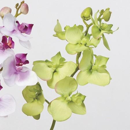 即日 造花 アスカ オーキッド 7 つぼみ 2 セロリ A 051 造花 花材 ら行 ラン 蘭 オーキッド 051 はなどんやアソシエ 通販 Yahoo ショッピング