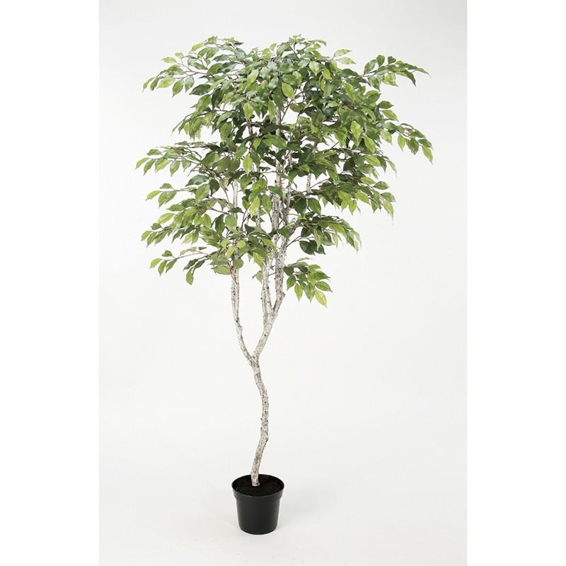 直送 人工観葉植物 アスカ ファイカスツリー ポット付  グリーン A-50881-051A※返品代引不可 造花葉物、フェイクグリーン 造花 人工観葉植物 卓上ポット