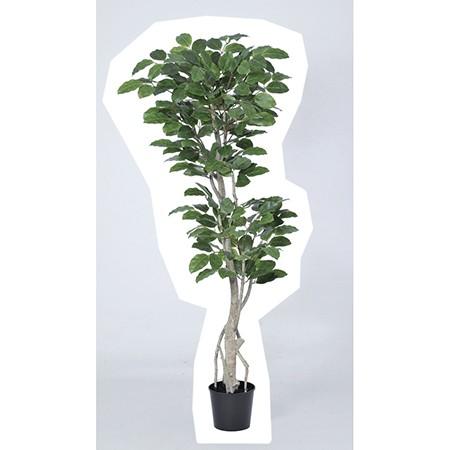 直送 人工観葉植物 アスカ ジャイアントツリー ＃051A グリーン A-50916-51※返品代引不可