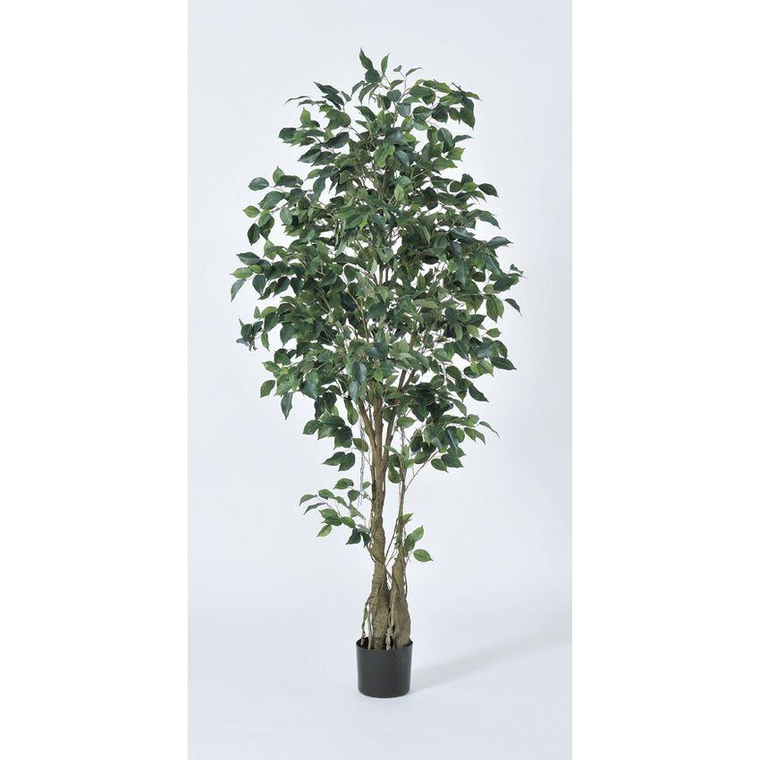 直送 人工観葉植物 アスカ ファイカスツリー ポット付  A-50940-051A ※返品代引不可