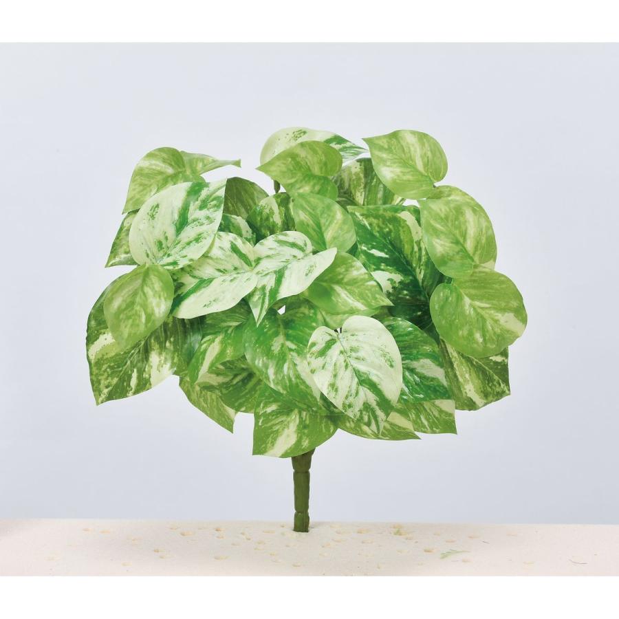 メーカー直送 ﾎﾟﾄｽﾊﾝｷﾞﾝｸﾞﾌﾞｯｼｭ ｸﾘｰﾑｸﾞﾘｰﾝ Flashshare Com