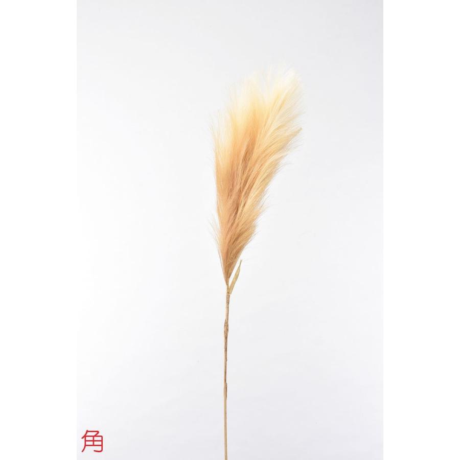 造花 アスカ パンパス #044 A-43393-44 造花葉物 パンパスグラス : は