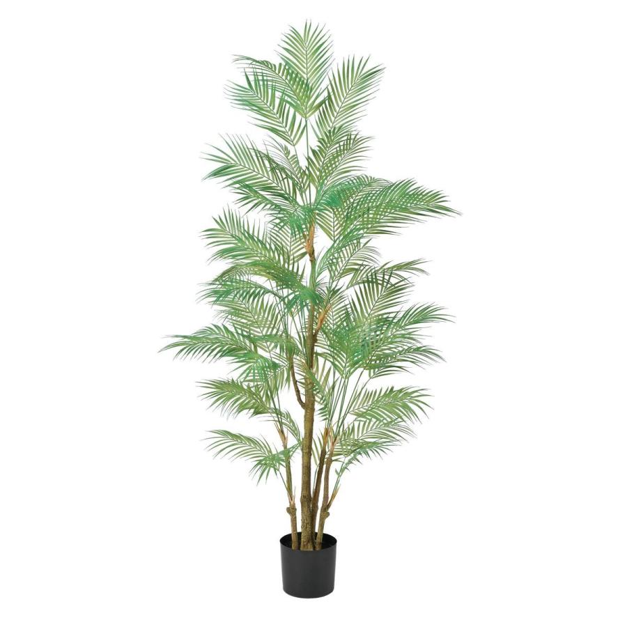 直送 人工観葉植物 アスカ パーム ポット付  A-50969-51A ※返品キャンセル不可