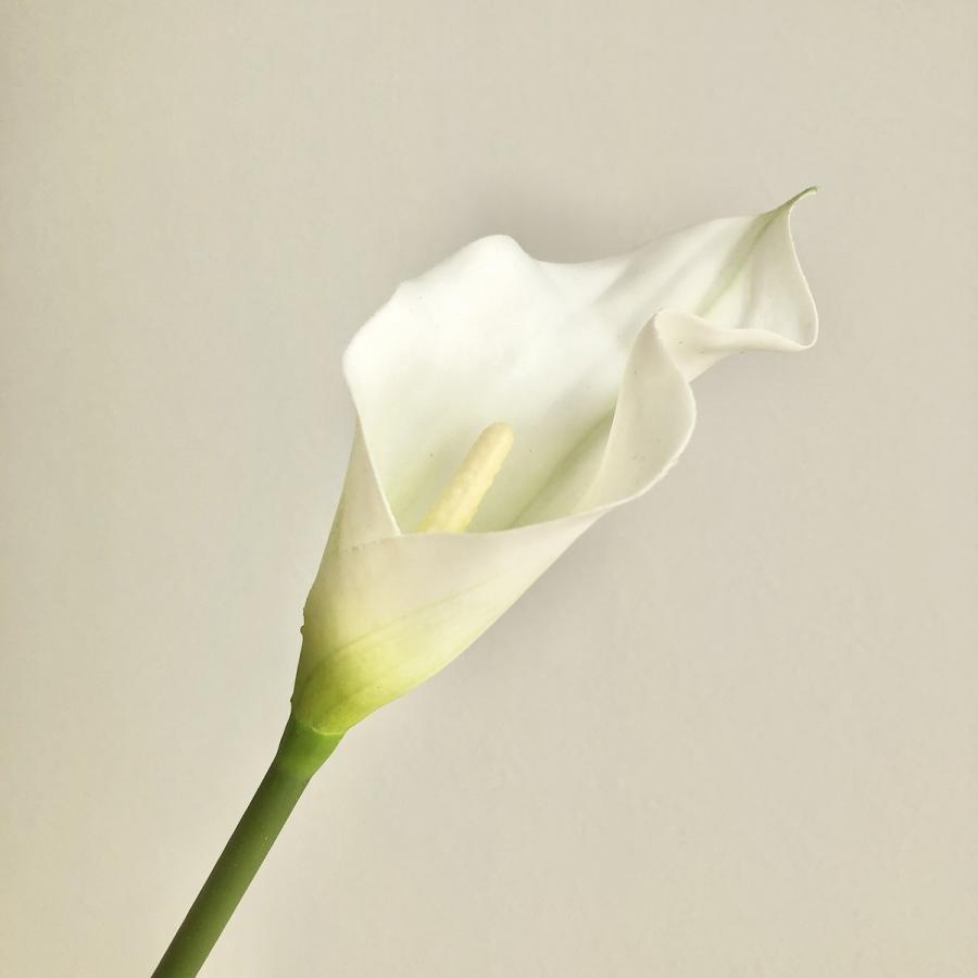 造花 アスカ カラーリリィ ホワイト A 001 造花 花材 か行 カラー 051 はなどんやアソシエ 通販 Yahoo ショッピング