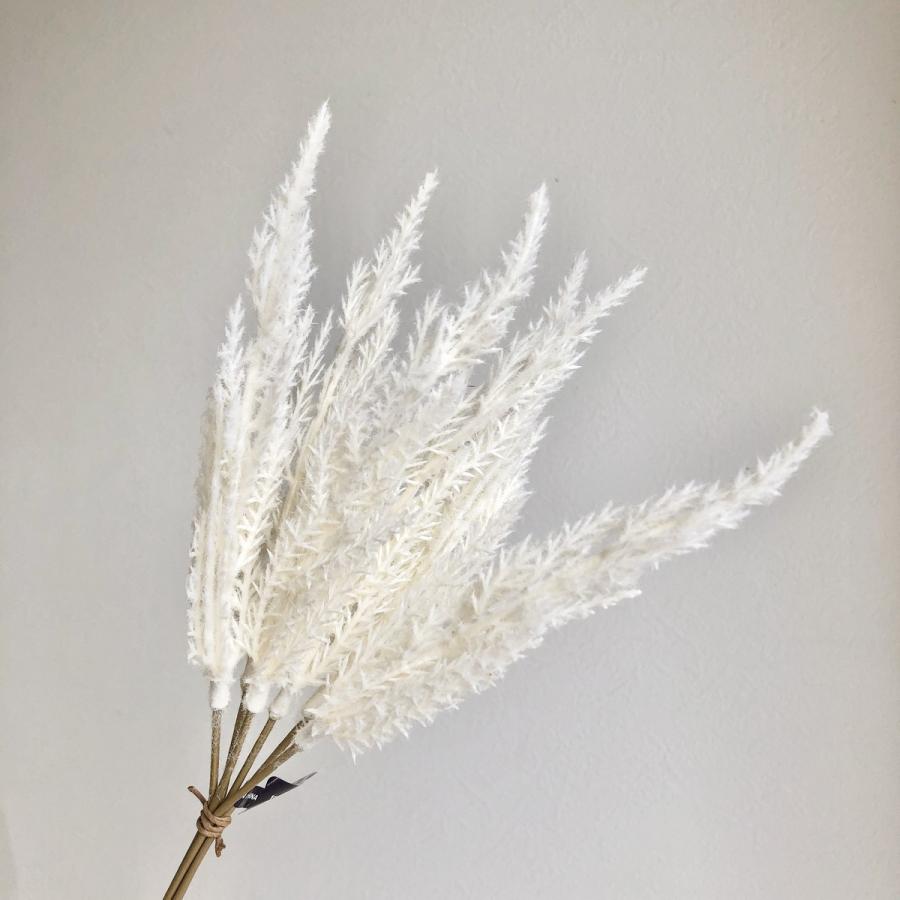 造花 アスカ パンパスバンチ 1束6本 ホワイト A 001 造花葉物 パンパスグラス 051 はなどんやアソシエ 通販 Yahoo ショッピング