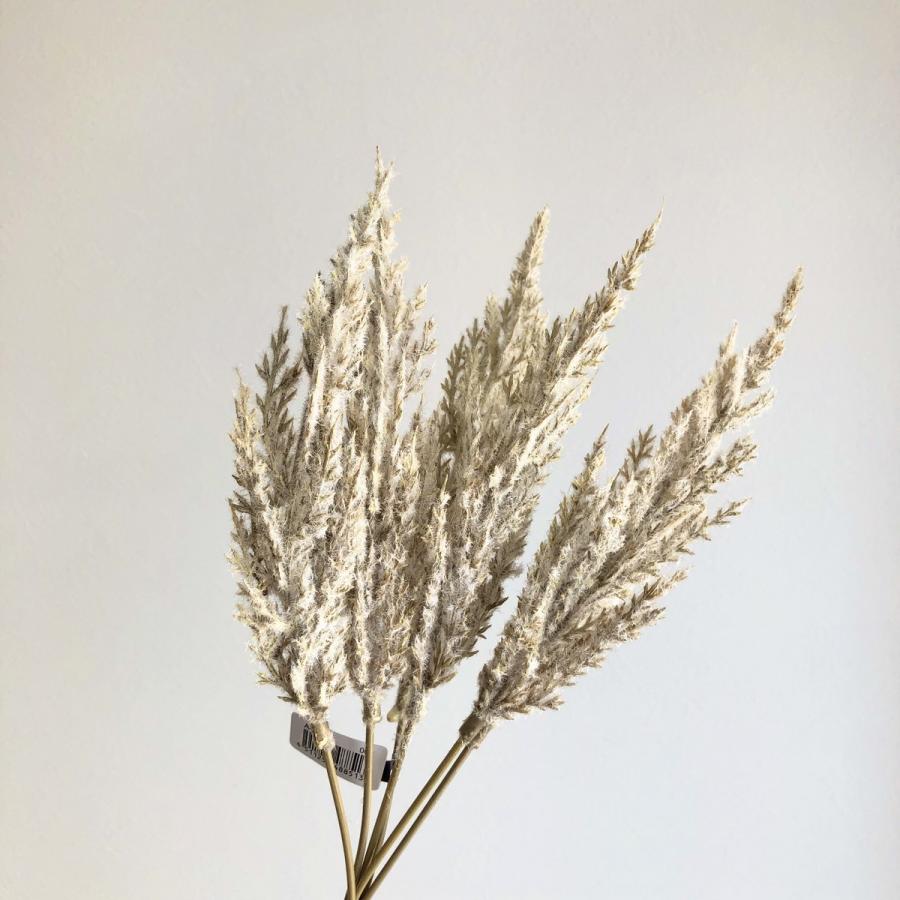 造花 アスカ パンパスバンチ 1束6本 ベージュ A 008 造花葉物 パンパスグラス 051 はなどんやアソシエ 通販 Yahoo ショッピング