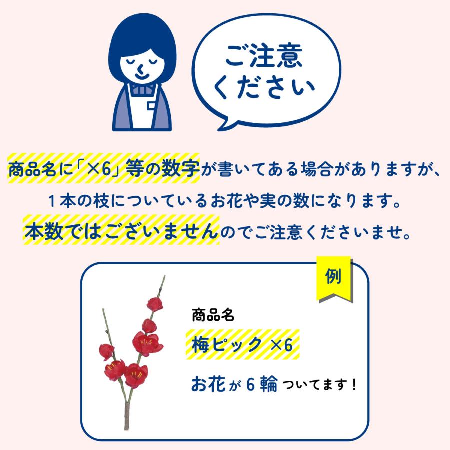 造花 アスカ マグノリア×5 つぼみ×12 ホワイト A-34132-1 花材「ま行