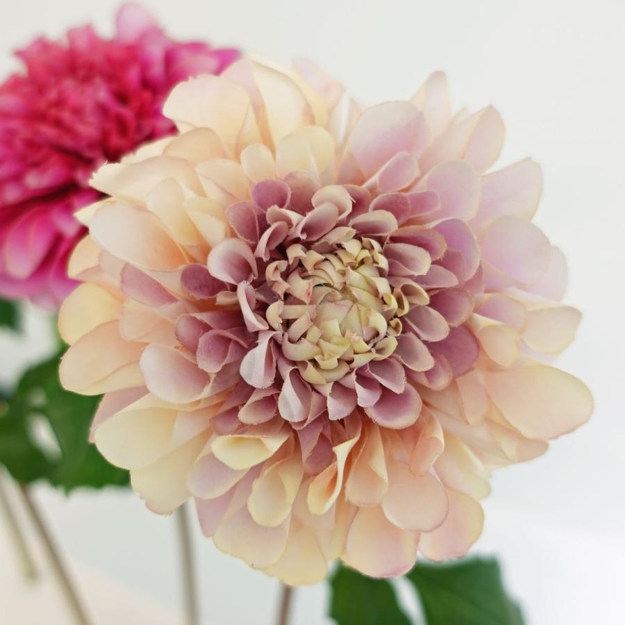 造花 アスカ premium collection ダリア モーブホワイト AP03007-55W