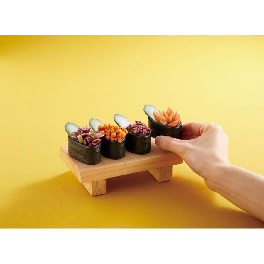 Greenhouse 江戸前寿司のミニミニポット 軍艦巻き 46 ポット 鉢 その他モチーフ 055 056 はなどんやアソシエ 通販 Yahoo ショッピング