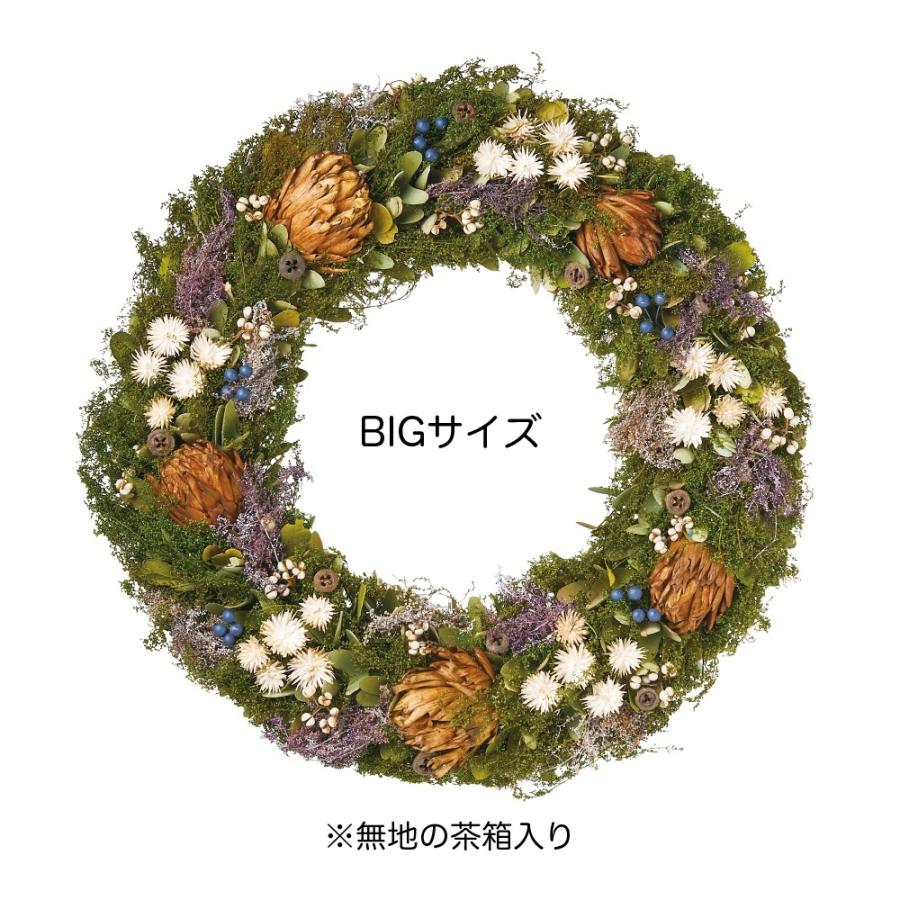 送料込 Greenhouse ビッグリース アッシュフォレスト 4744 リース完成品 天然素材 売り切れ必至 Nepalraftar Com