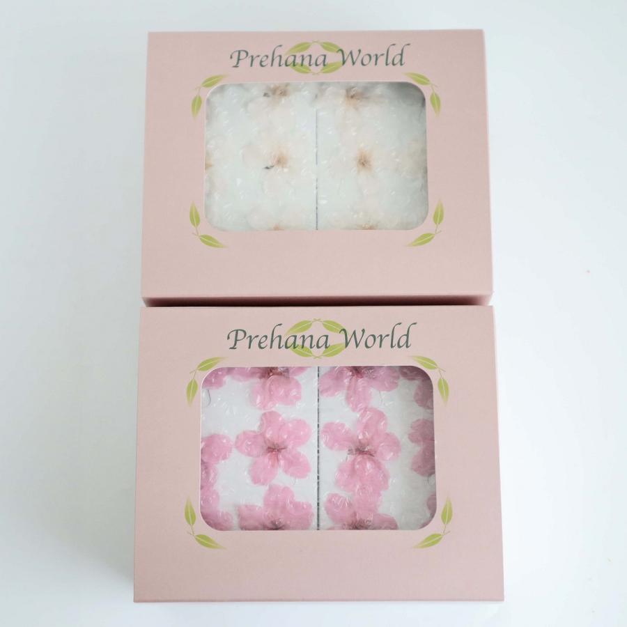 プリザーブド 南原農園 サクラ 12輪 フレッシュピンク その他