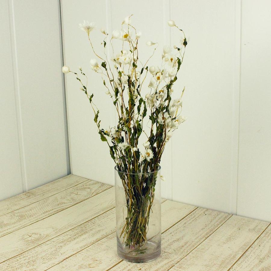 日限定10 ドライ コアトレーディング ローダンセ ナチュラルホワイト 約10 g 175 ドライフラワー花材 その他ドライフラワー 065 はなどんやアソシエ 通販 Yahoo ショッピング