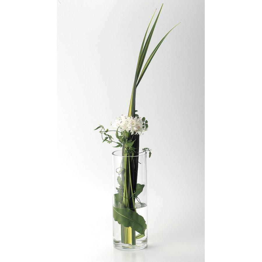 LEO フラワーベース 円筒380 F-3426 花器 花瓶 ガラス花器 :067-00712:はなどんやアソシエ - 通販 -  Yahoo!ショッピング