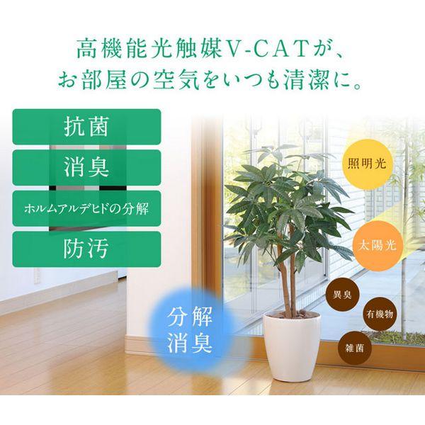 日限定10 直送 人工観葉植物 光の楽園 光触媒 スリムシーグレープ1.6