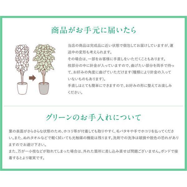 日限定10 直送 人工観葉植物 光の楽園 光触媒 スリムシーグレープ1.6