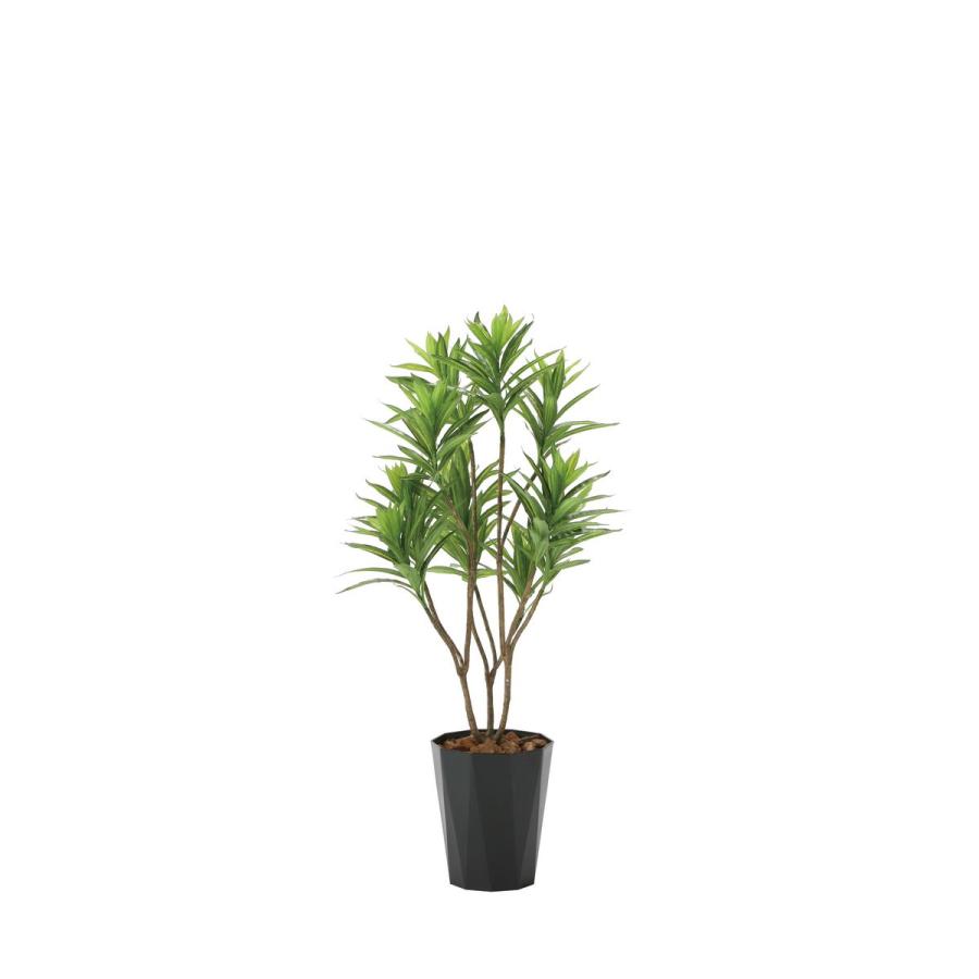 日限定21 直送 人工観葉植物 光の楽園 光触媒 フレッシュドラセナ1.2