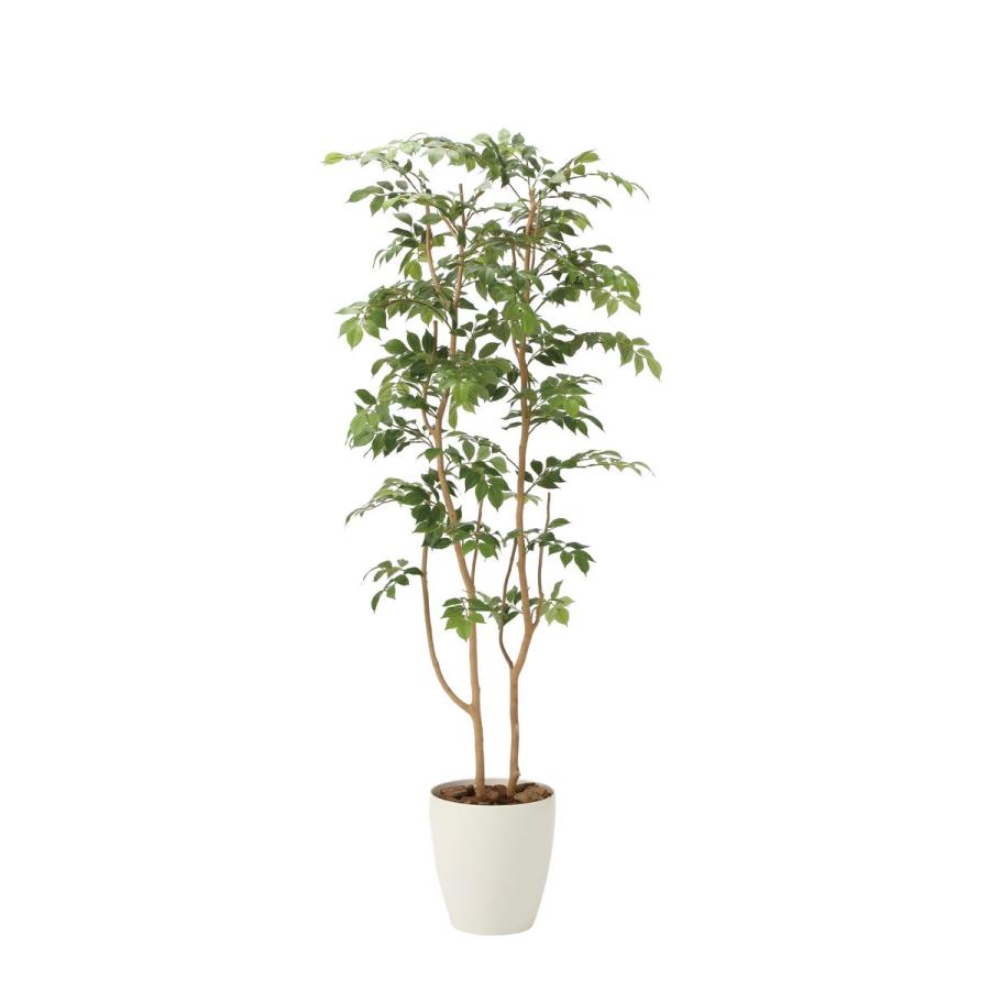 光触媒　人工観葉植物　フェイクグリーン　マウンテンアッシュ1.6m 日限定21 直送 人工観葉植物 光の楽園 光触媒 マウンテンアッシュ1.6