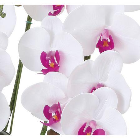 光触媒人口植物 光の楽園 フェイクフラワー アレンジメント 胡蝶蘭