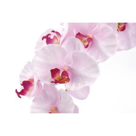 専用＊迎春2024 2色の胡蝶蘭グリーン 正月飾り(フェイク) 専用＊迎春