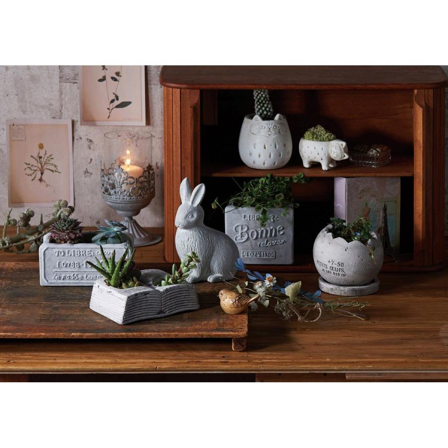 友膳 シャトンワイドポット EG9003 植木鉢 おしゃれ ガーデニング 園芸