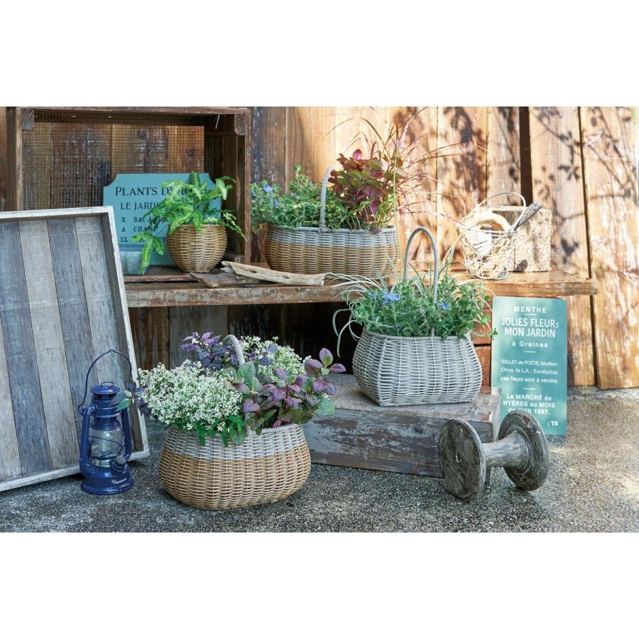 友膳 ガンセトワイドバスケットAGY KM615 かご バスケット フェイク