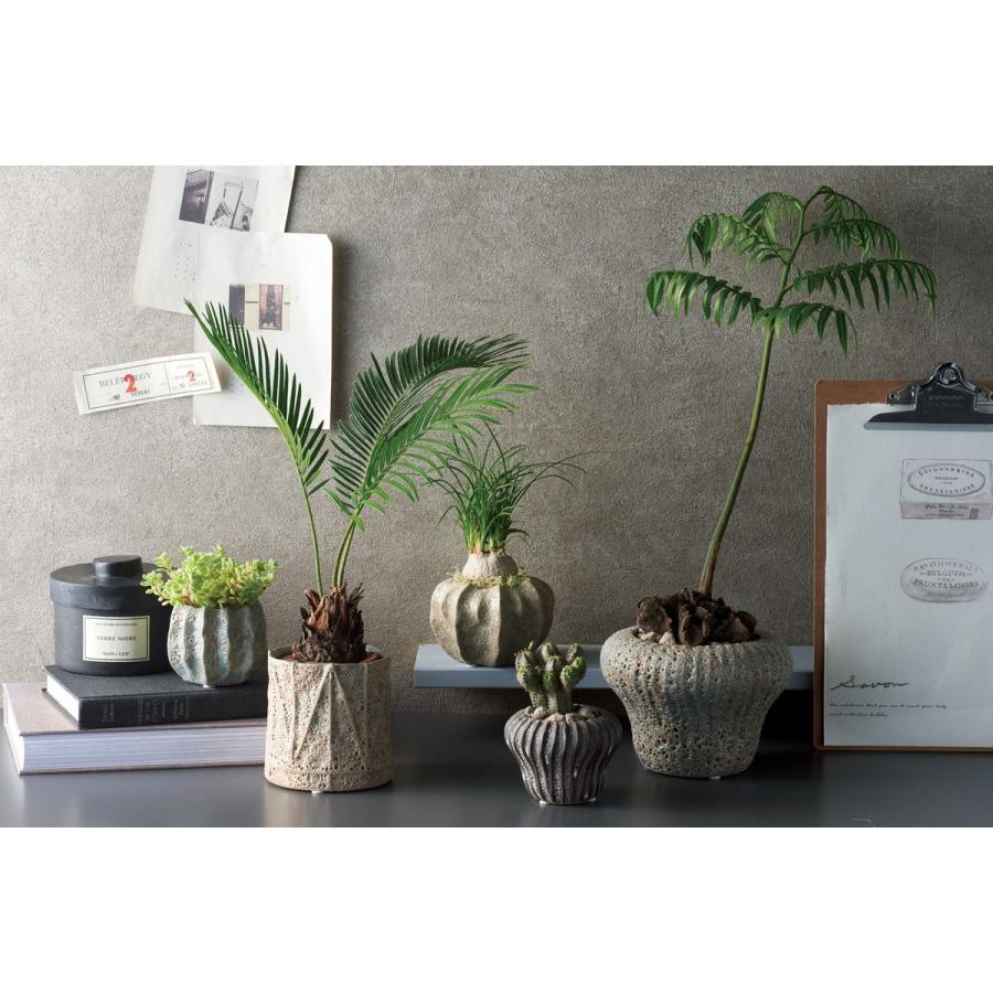 植木鉢 おしゃれ 友膳 エキュムアングルポットMBR TM903