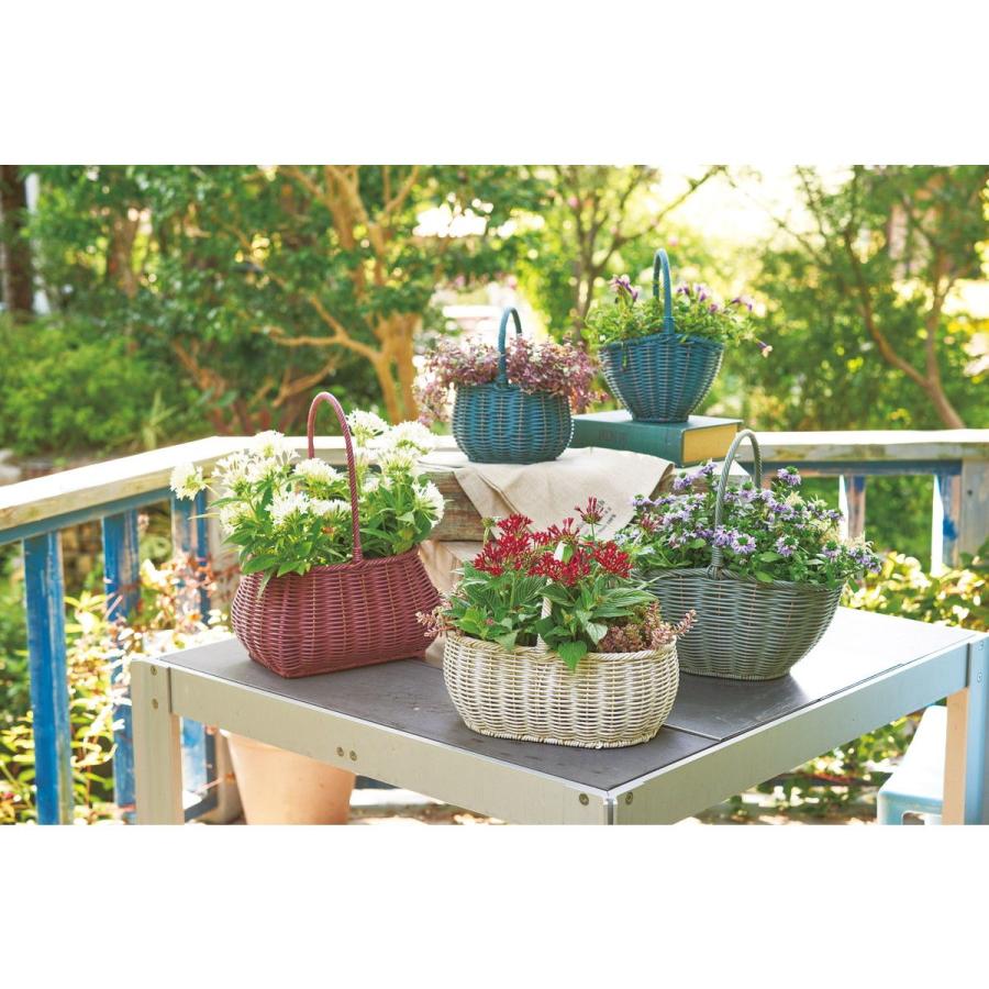 友膳 ガンセトオーバルバスケットAW KM680 かご バスケット フェイク