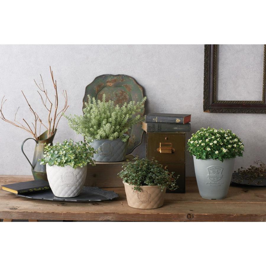 ☆ポルコカッソ☆さま専用です☆ kokoさま専用 専用 ロコさま専用 ZX