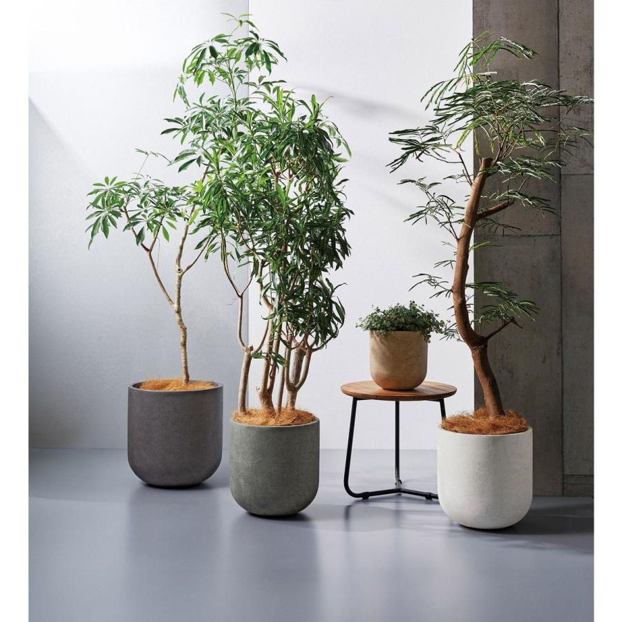 特価 友膳 プラットサークルLLW G1047 植木鉢 おしゃれ ガーデニング