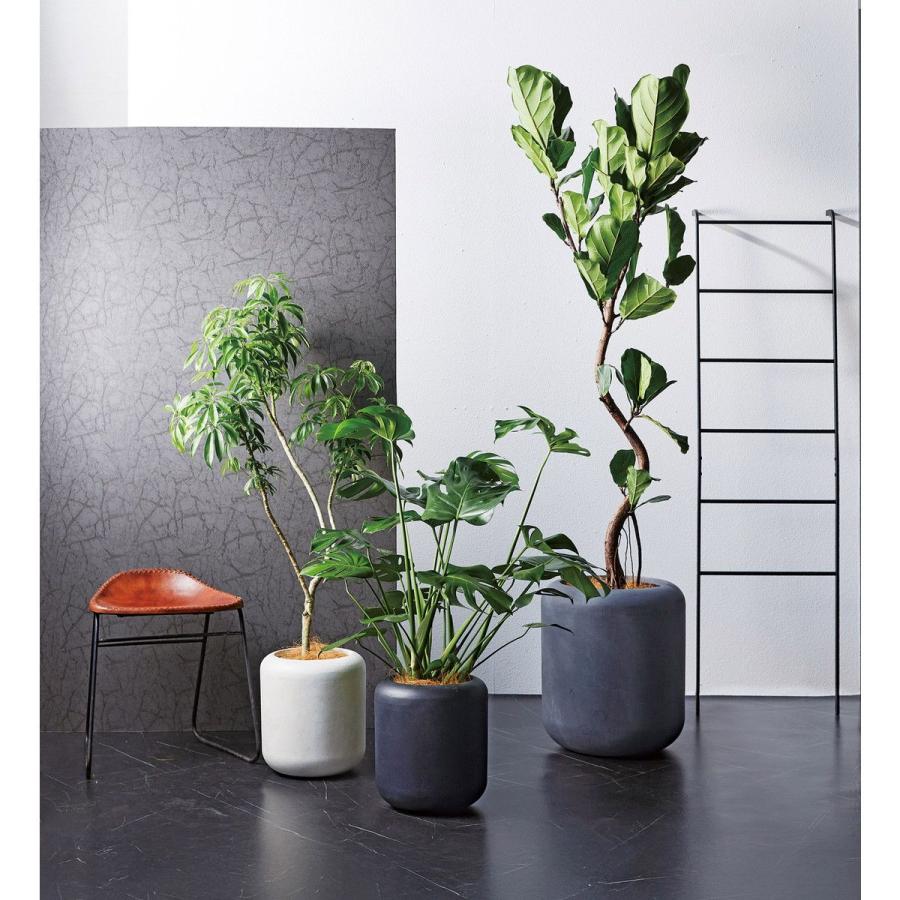 友膳 ルーロサークルMGY G1041 植木鉢 おしゃれ ガーデニング 園芸用品