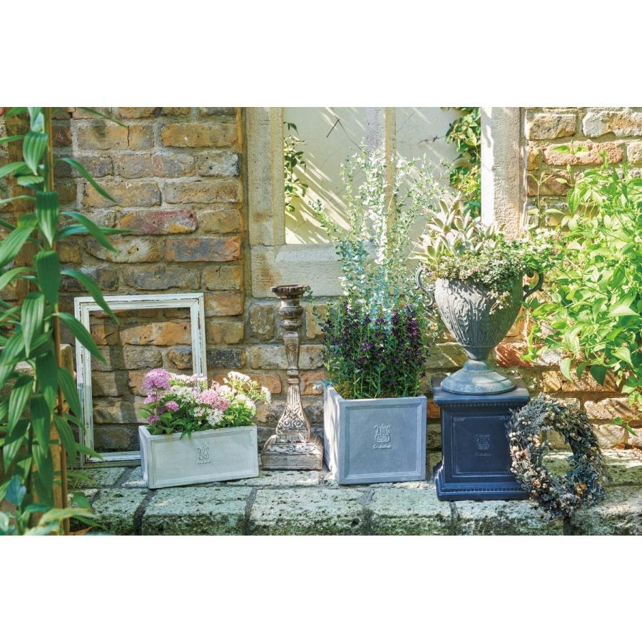 友膳 ルデビューワイドSGY GF1878 ガーデニング 園芸用品 プランター