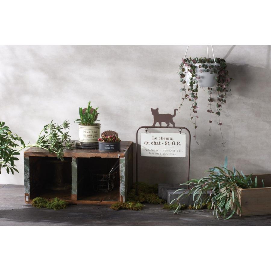友膳 ジャンガルラウンドMW MA2585 園芸用品 植木鉢 フラワーポット