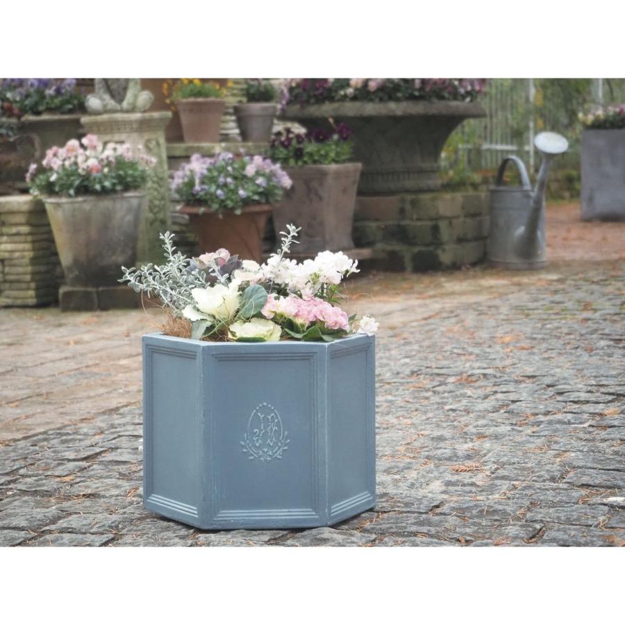 日限定07 村田屋産業 ヘキサゴンポット6号NaturalBlue 3692