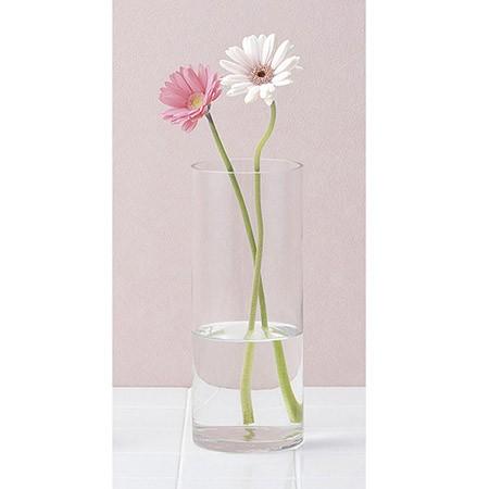 Paseo ガラスベース EX-39-25 2個 花器 花瓶 ガラス花器 : 083-02426 