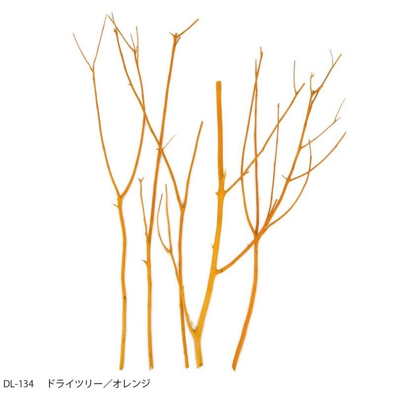 Sale 72 Off ドライ Azi Azi ドライツリー オレンジ Dl 134 3個 ドライ枝物 塗り枝 サラシ Wantannas Go Id