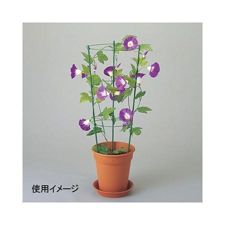 フラワー支柱 中 60cm 5 6号鉢用 園芸資材 支柱 098 はなどんやアソシエ 通販 Yahoo ショッピング