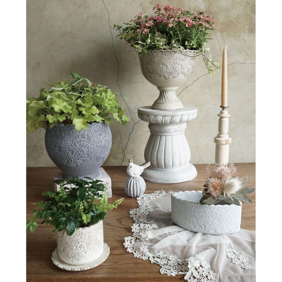 フラワー・ガーデニング moon sa25204740.jpg