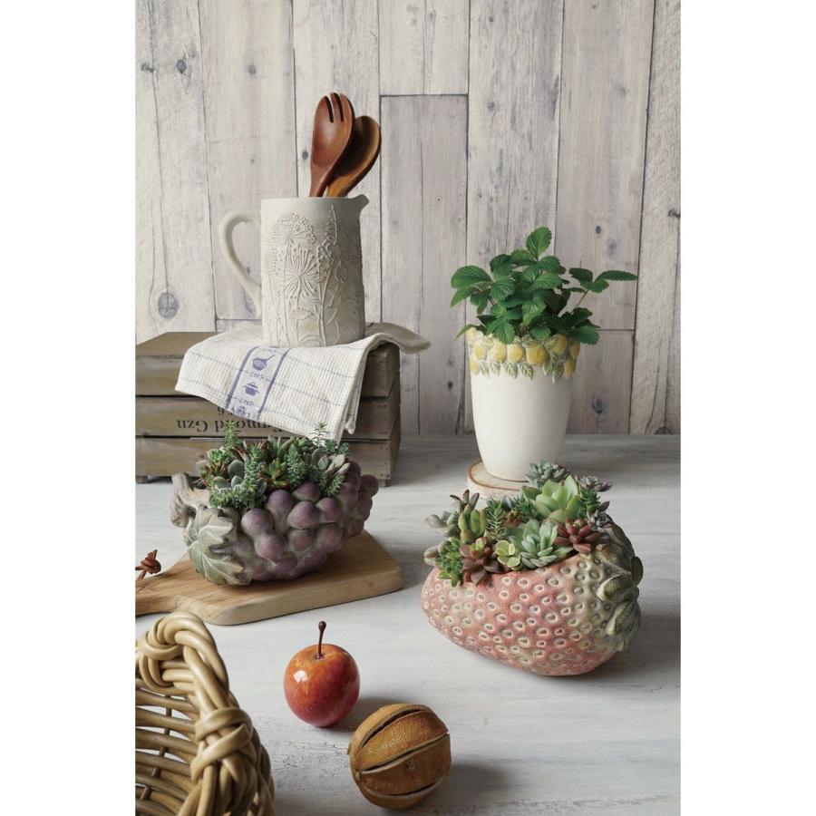 CARNAC シャンタルフルーツフレーズB LC029 植木鉢 おしゃれ