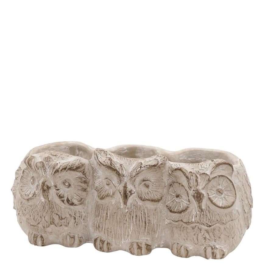 こいちゃんCARNAC/フォレストスワンA +Bセット フラワーポット鉢