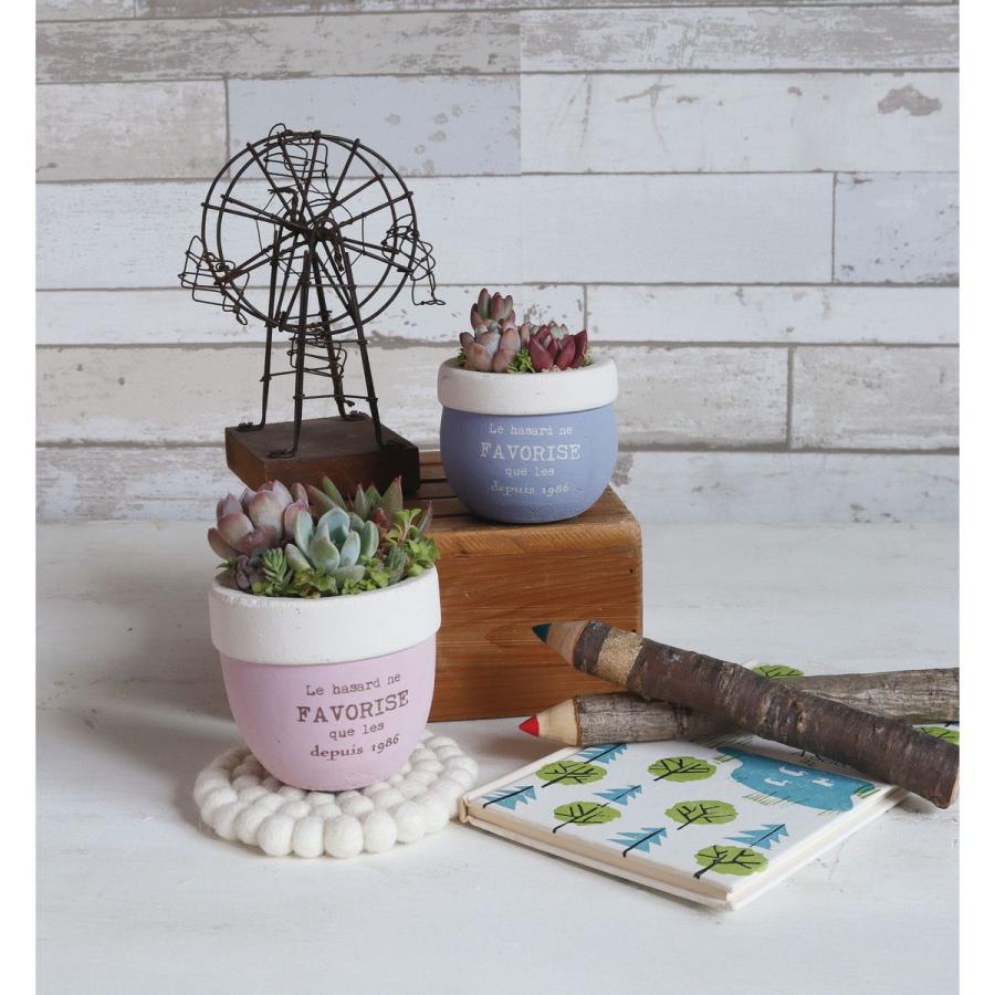 CARNAC パフツートンラウンドL-IV アイボリー CP2512IV 植木鉢