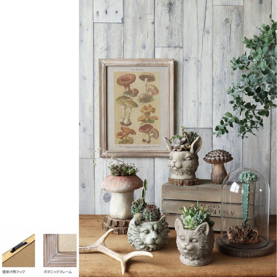 CARNAC ボタニックフレーム04 JFB016 店内装飾 壁掛け ウォールデコ