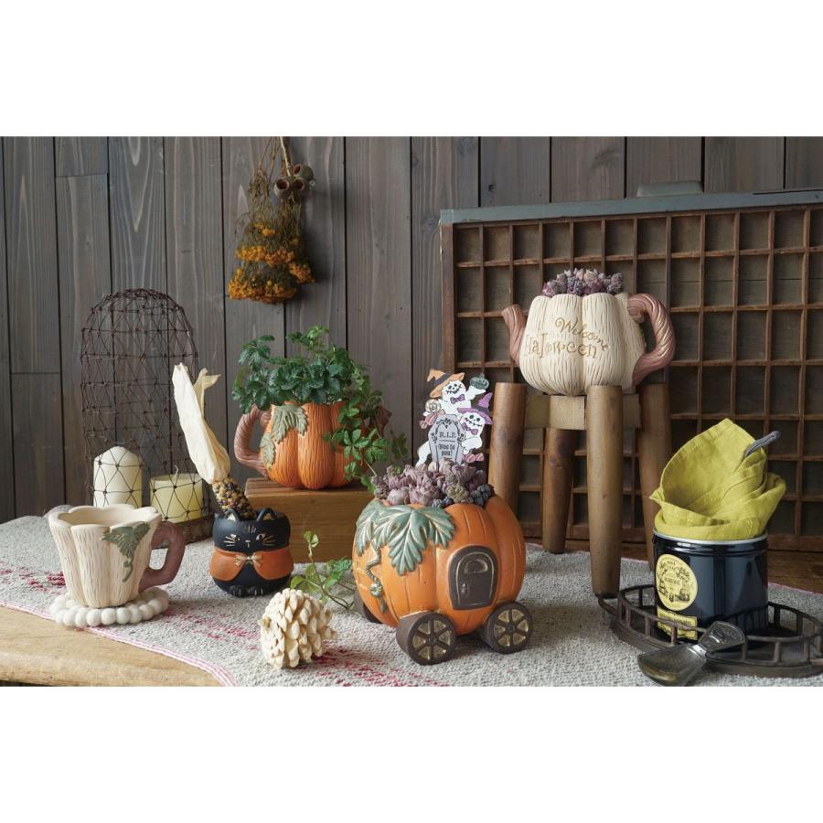 CARNAC ハロウィンパンプキンティーポット25-L-WH ホワイト CPHW38WH