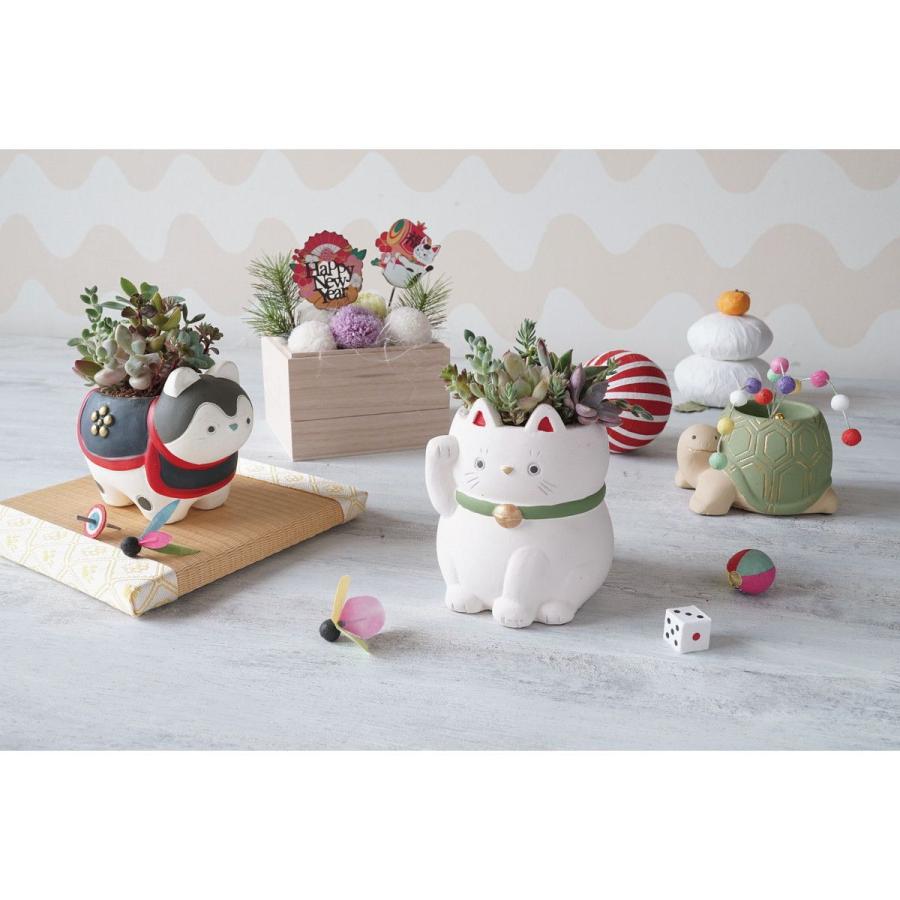 CARNAC ニューイヤーピック25扇 HPY12 園芸用品 ガーデニング雑貨