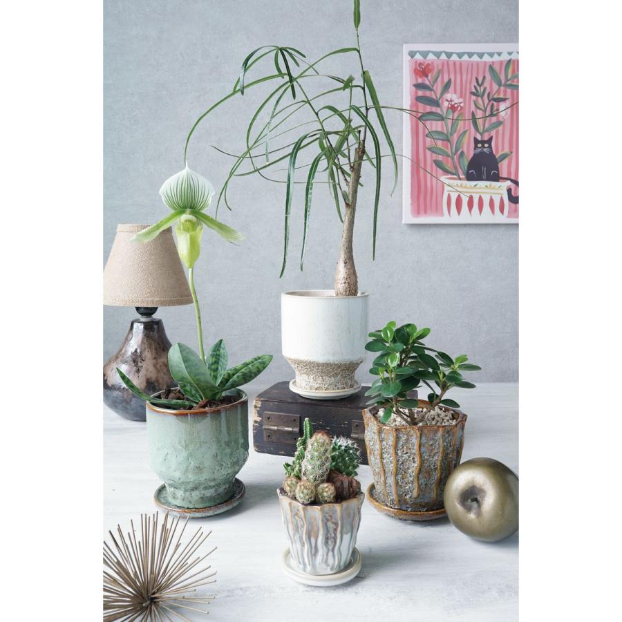 CARNAC エマーブルクレーター01-M-WH ホワイト AB02WH 園芸用品 植木鉢