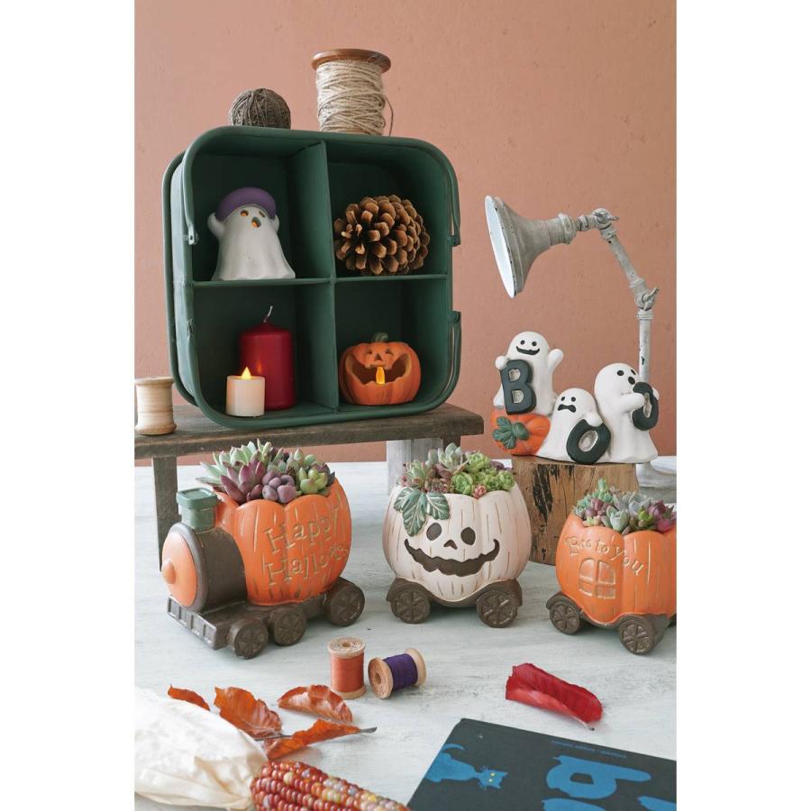 CARNAC ハロウィンポット26D-WH ホワイト CPHW73WH ガーデニング 園芸