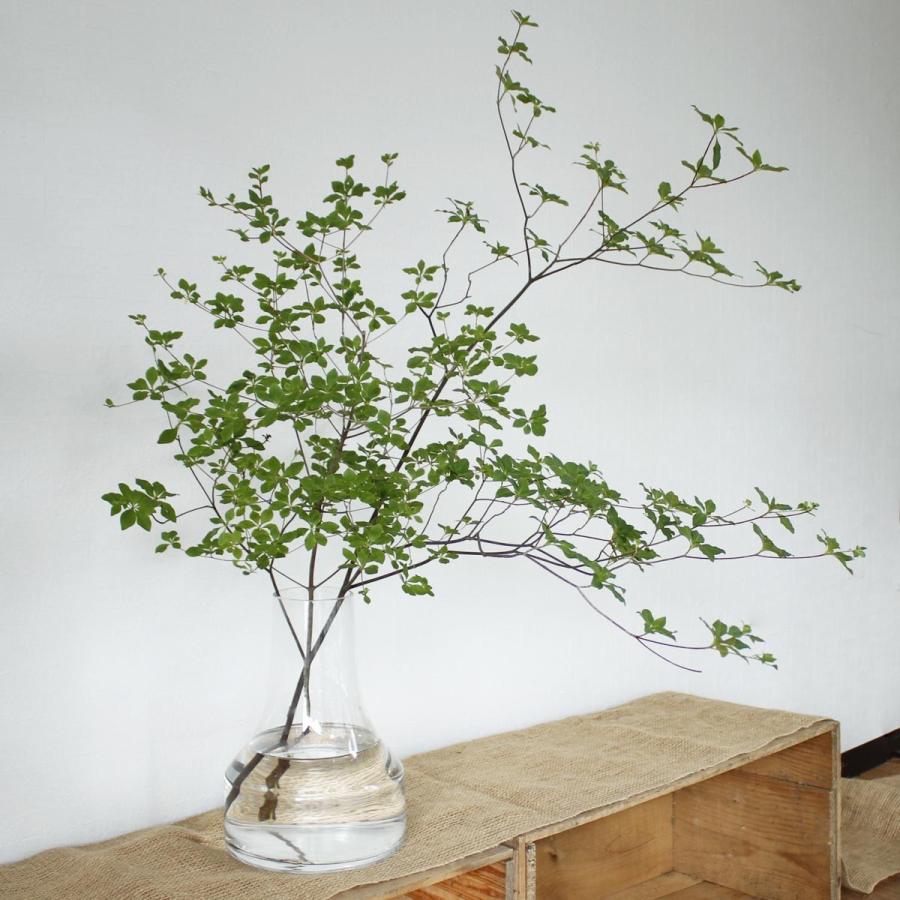 ボブクラフト ファゴット L 650-1C 花器 花瓶 ガラス花器|hanadonya|05