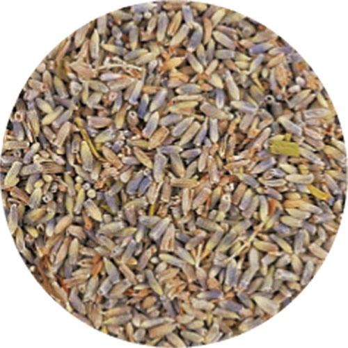 宅送 ドライ 生活の木 ラベンダー クラフト用 １０ｋｇ 01 871 4100 ドライフラワー花材 ラベンダー 希少 Kuljic Com
