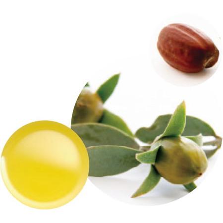 生活の木 ホホバオイル クリア 精製 60mL 12-401-7040 アロマ キャリア